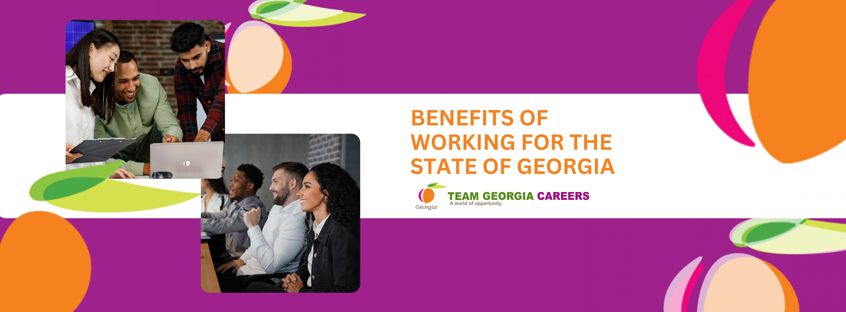 Customized Recruitment Team Specialist - Team Georgia Careers